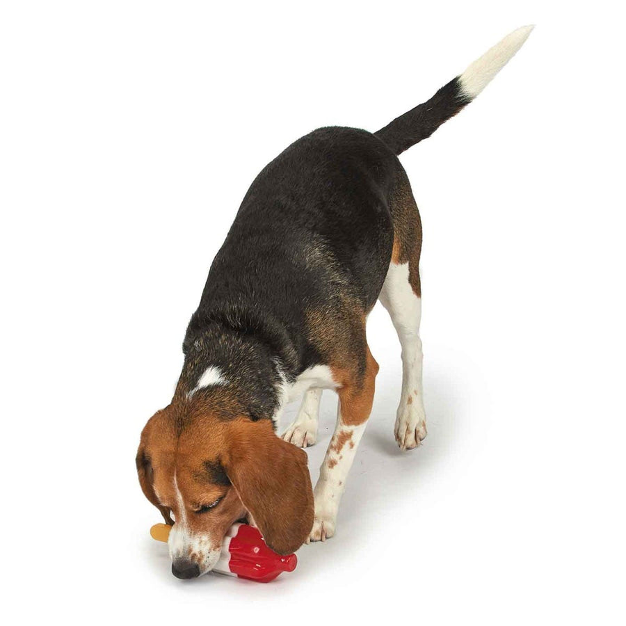 Cool Pup Rocket Pop Freezable Dog Toy Dog Chewing On Toy