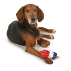 Cool Pup Rocket Pop Freezable Dog Toy Dog Looking Up With Toy On its Paw