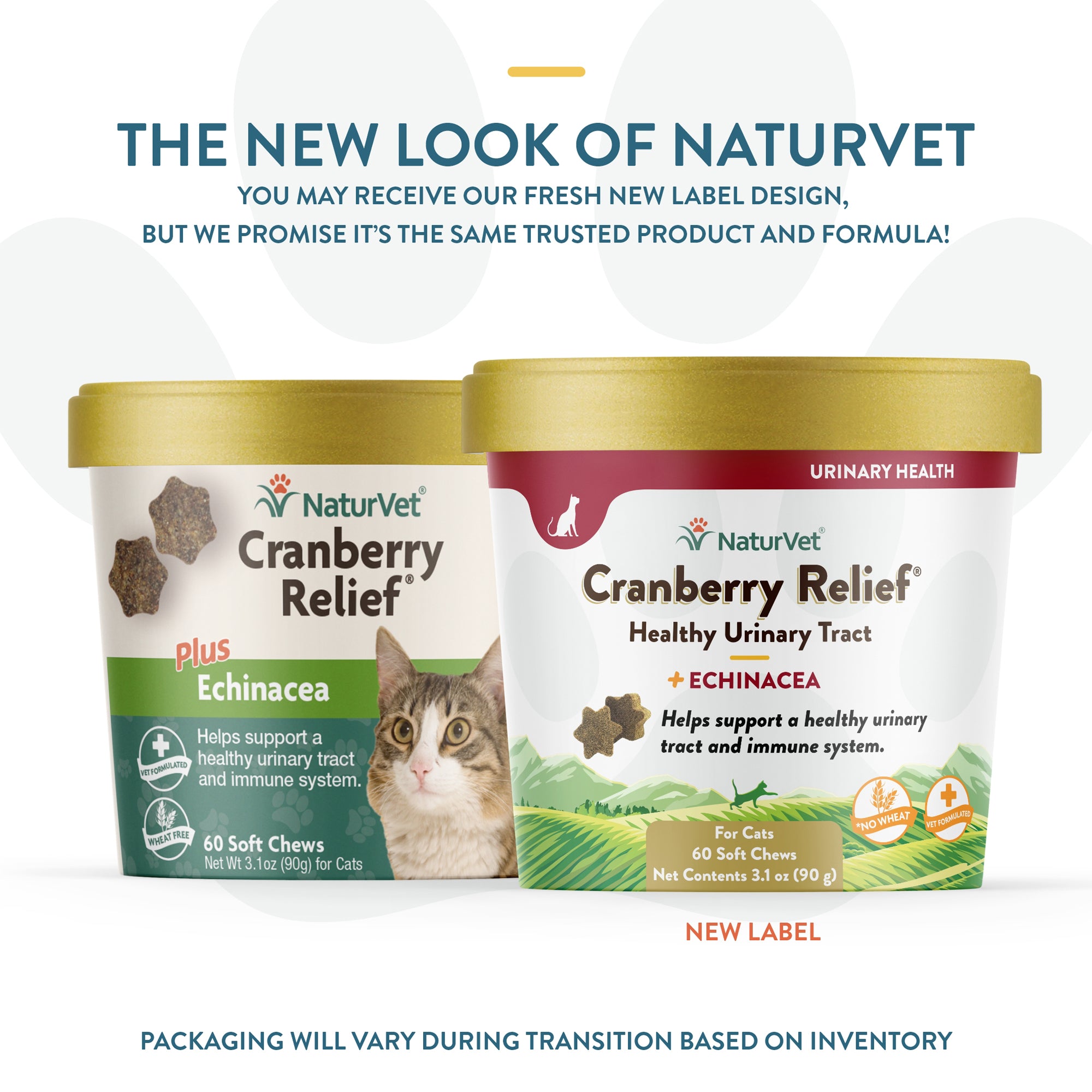 NaturVet Cranberry Relief Plus Echinacea Urinary Tract Health Soft