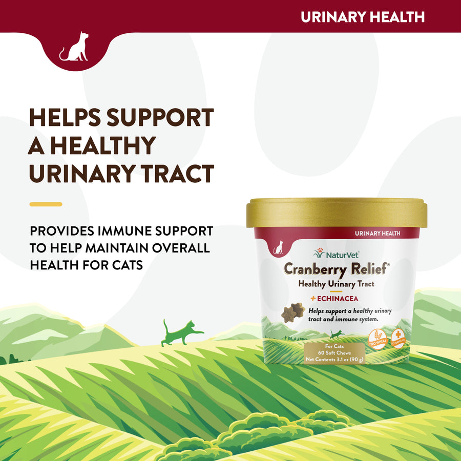 NaturVet Cranberry Relief Plus Echinacea Chews for Cats