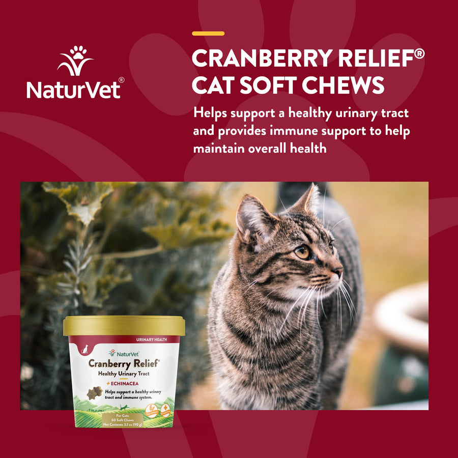 NaturVet Cranberry Relief Plus Echinacea Chews for Cats