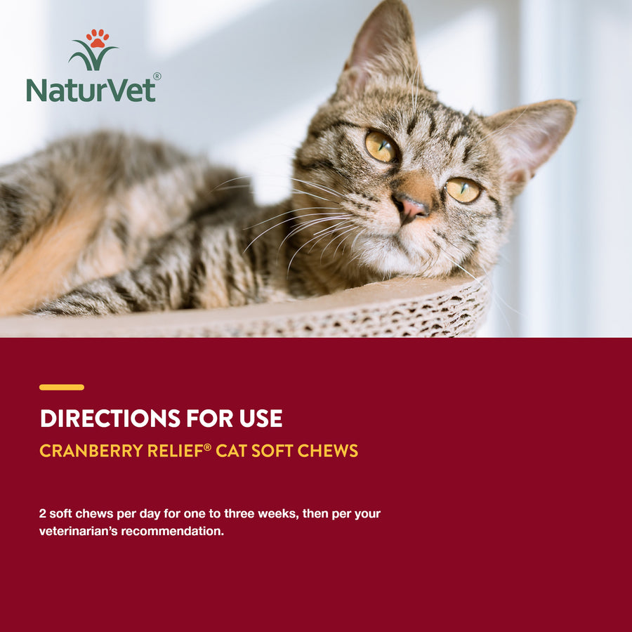 NaturVet Cranberry Relief Plus Echinacea Chews for Cats