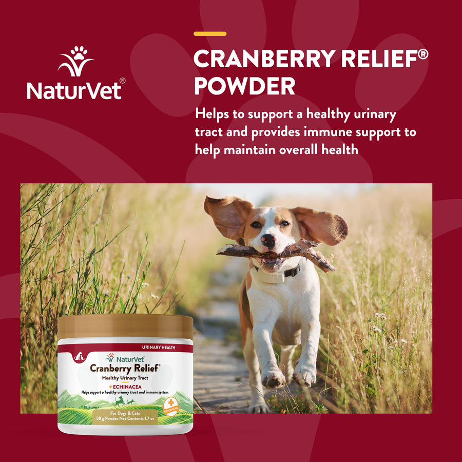 NaturVet Cranberry Relief Powder Plus Echinacea 50-gm