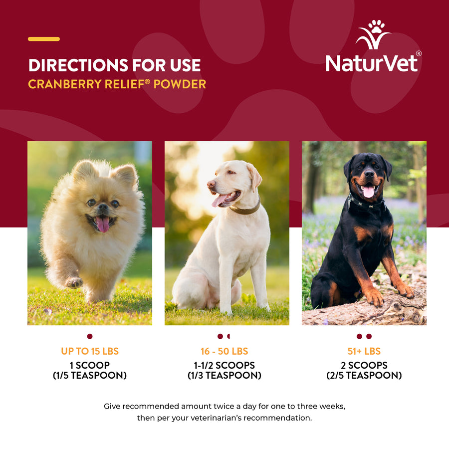 NaturVet Cranberry Relief Powder Plus Echinacea 50-gm