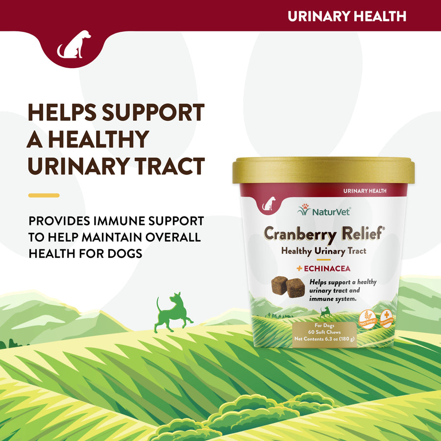 NaturVet Cranberry Relief Plus Echinacea Soft Chews for Dogs