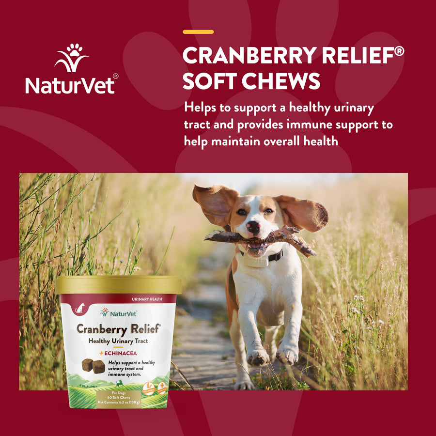 NaturVet Cranberry Relief Plus Echinacea Soft Chews for Dogs