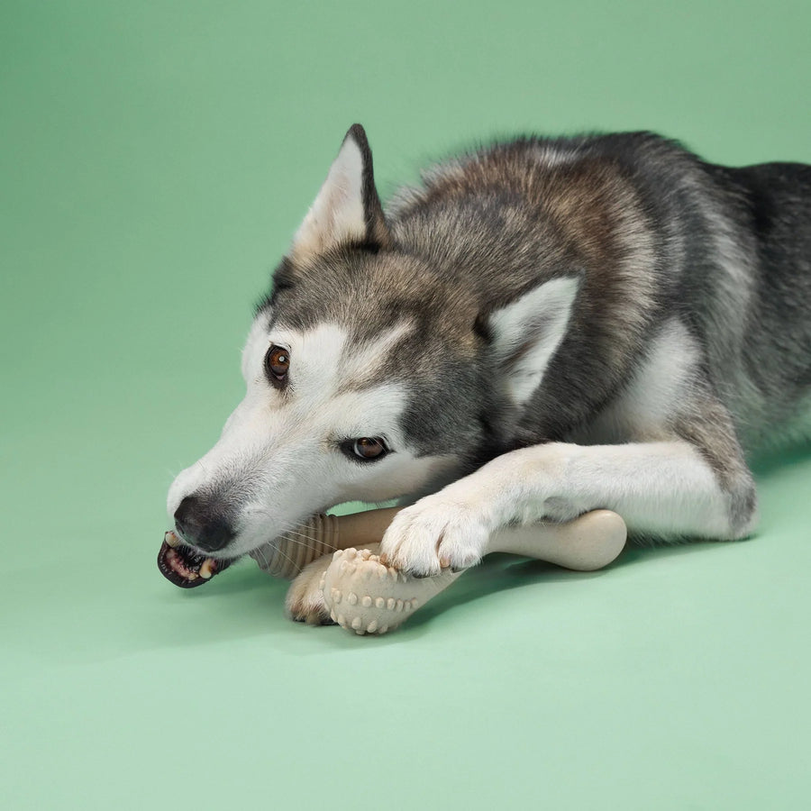 Betterbone Medium Hardness Natural Hypoallergenic Classic Flavor Dog Chew