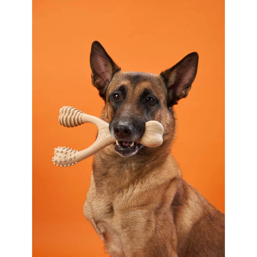 Betterbone Hard Hardness Natural Hypoallergenic Beef Flavor Dog Chew