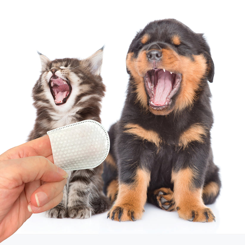 PURE and Natural Pet Plaque & Tarter Removal Wipes for Dogs & Cats