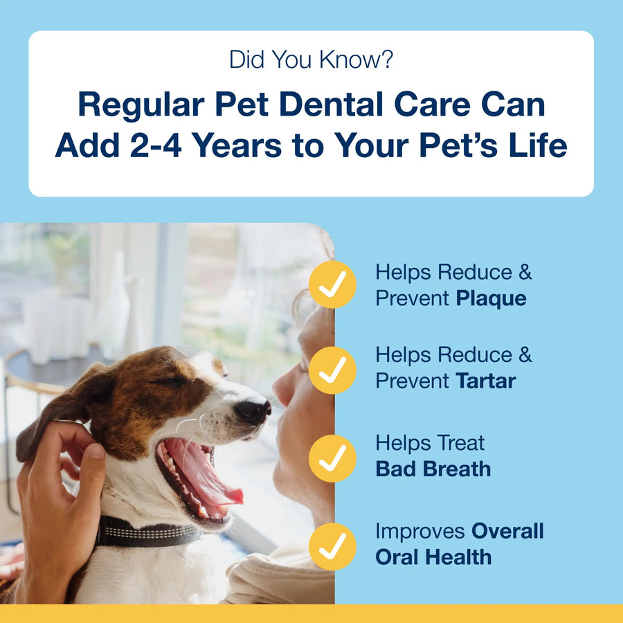 Regular pet Dental Care can add 2-4 years to your pet's life.