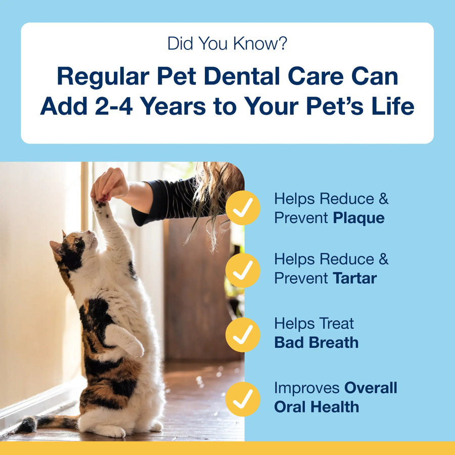 Regular Pet Dental Care can add 2-4 years to your Pet's Life.