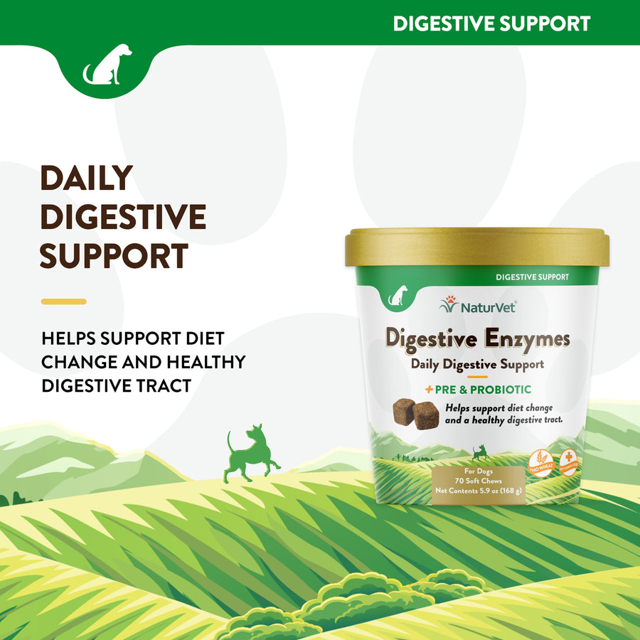 NaturVet Digestive Enzymes Plus Probiotics Soft Chews for Dogs