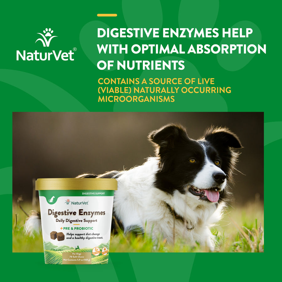 NaturVet Digestive Enzymes Plus Probiotics Soft Chews for Dogs