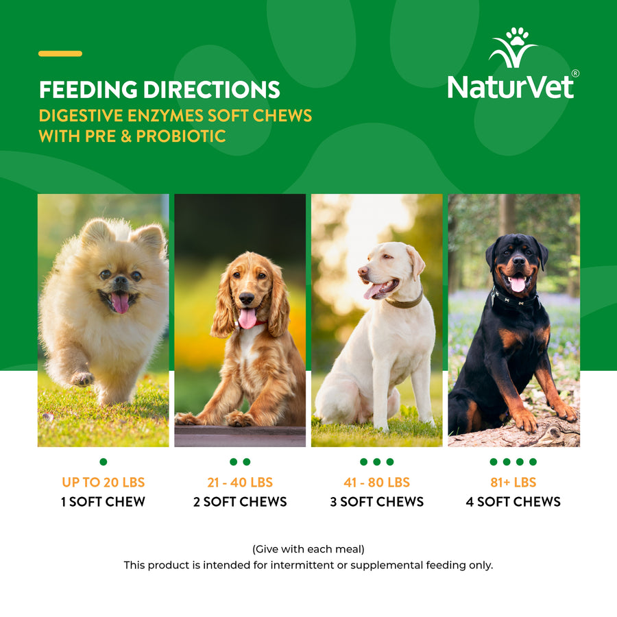 NaturVet Digestive Enzymes Plus Probiotics Soft Chews for Dogs