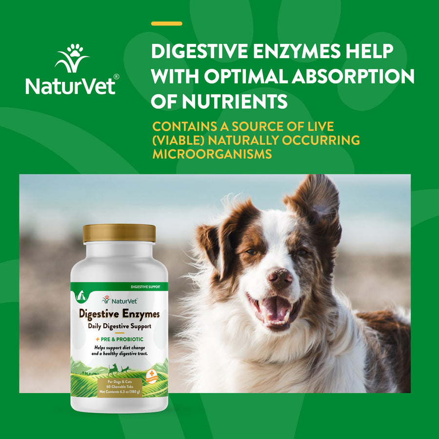 NaturVet Digestive Enzymes Plus Probiotic Chewable Tablets