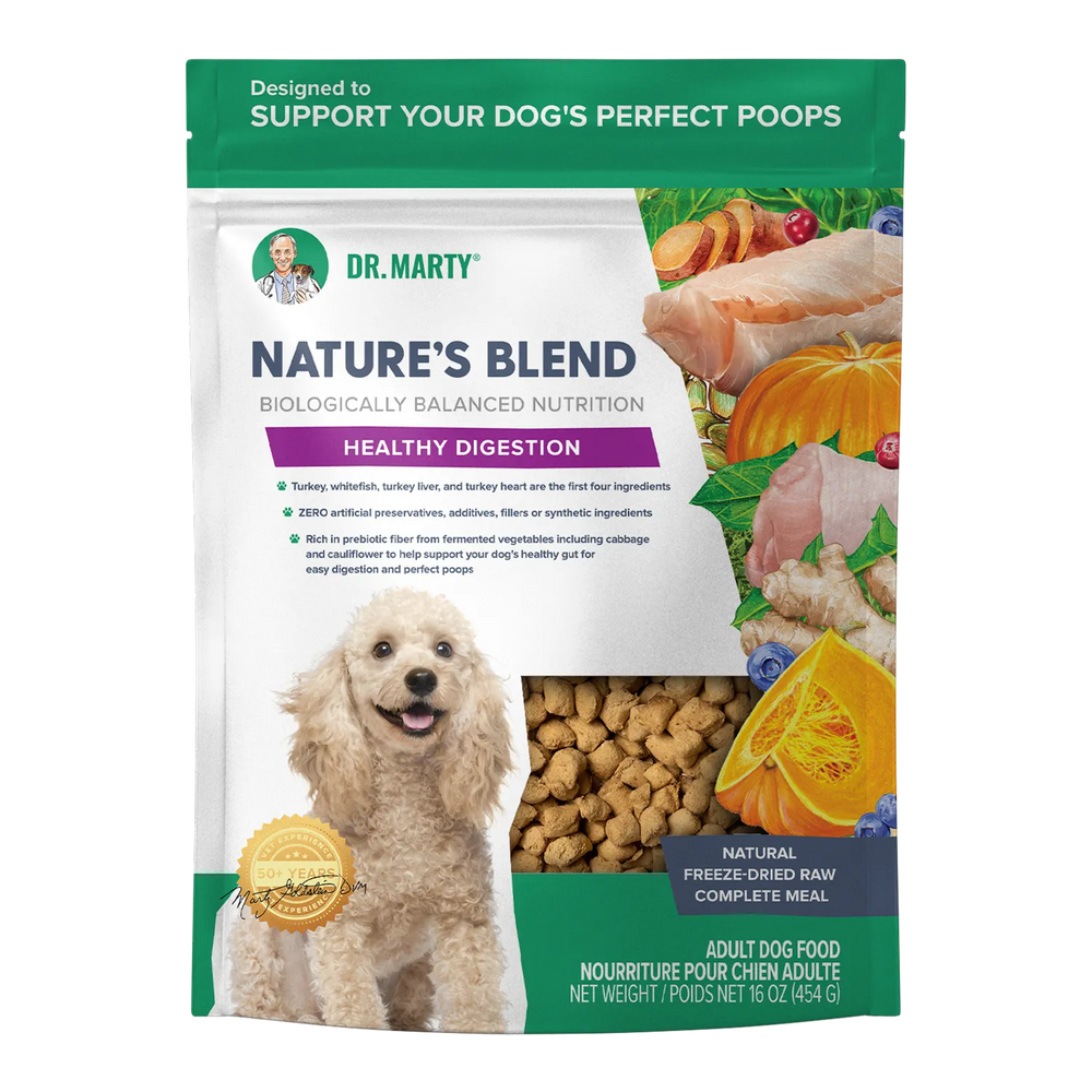 Dr. Marty Nature's Blend Healthy Digestion Freeze-Dried Dog Food Front view Packet