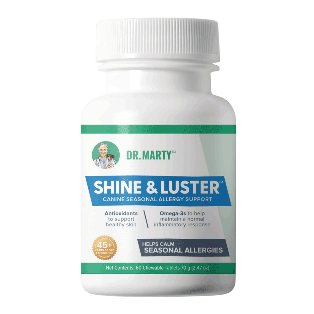 Front Bottle of Dr. Marty Shine & Luster Seasonal Allergy Support Dog Supplement 60 CT