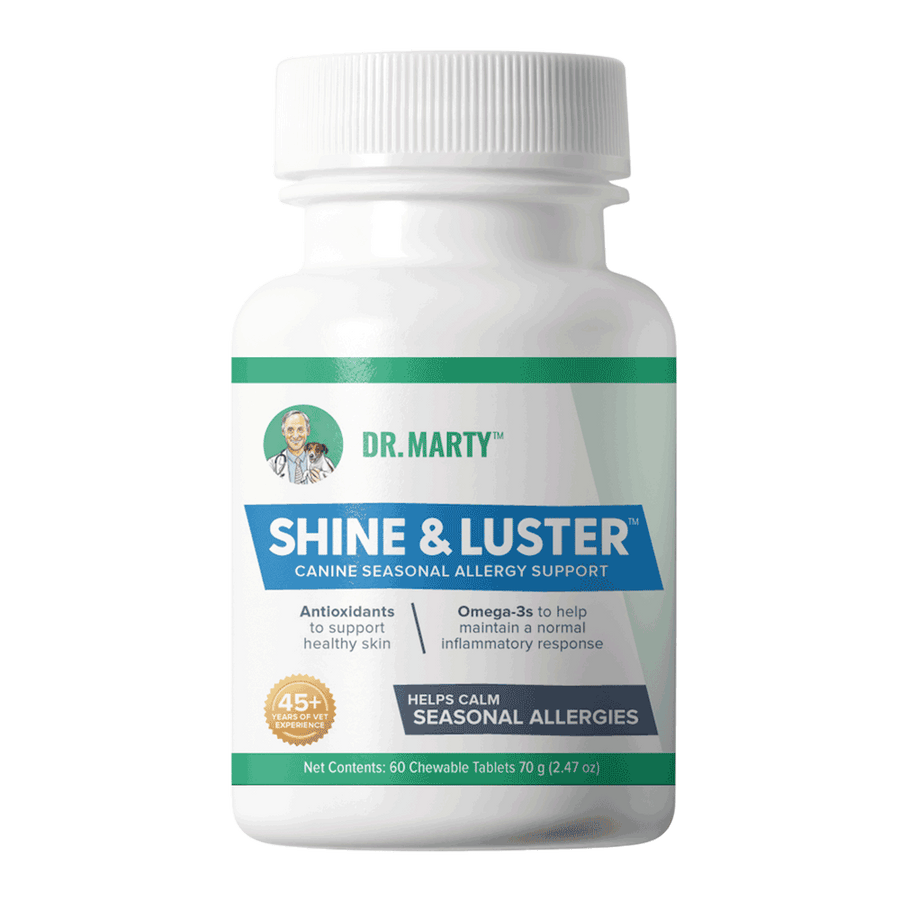 Front Bottle of Dr. Marty Shine & Luster Seasonal Allergy Support Dog Supplement 60 CT
