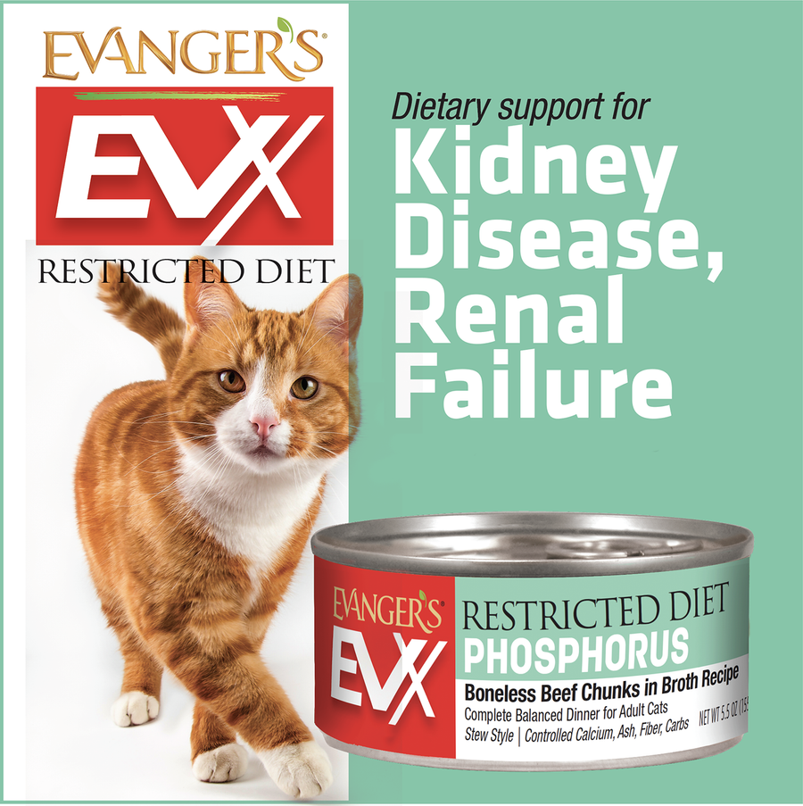 Evanger's EVX Restricted: Low Phosphorus Canned Cat Food