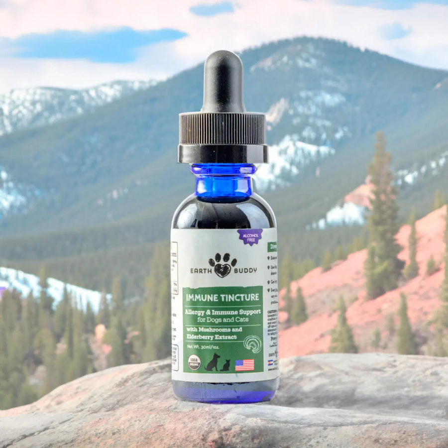 Front bottle of Earth Buddy Allergy & Immune Support Mushroom & Elderberry Blend Tincture 30ml