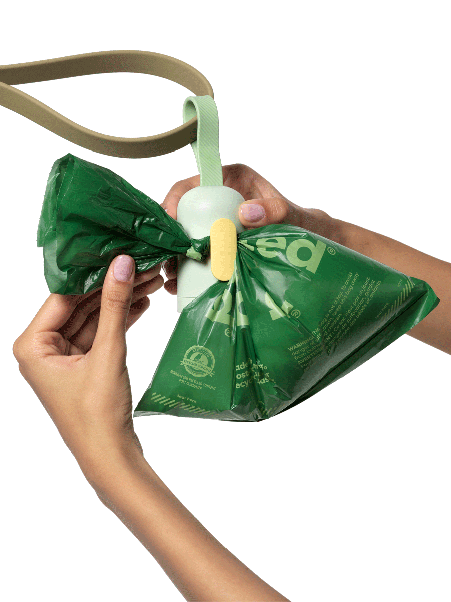 Used bag hooked to dispenser.