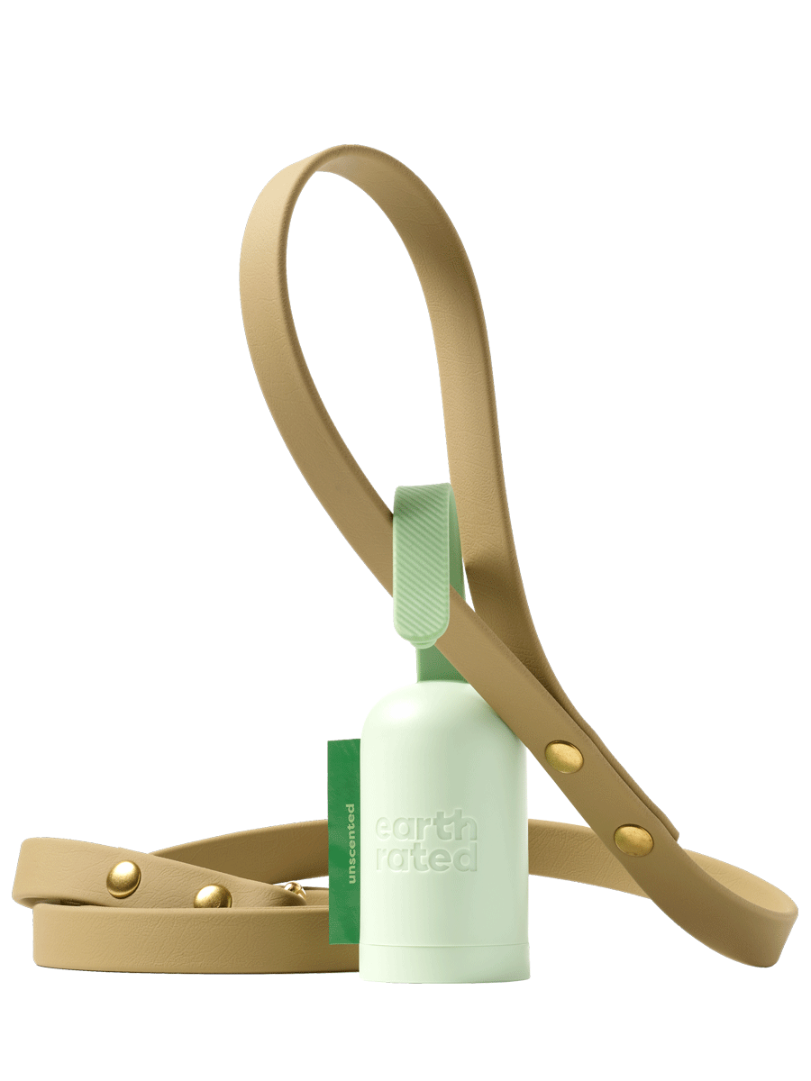 Dispenser connected to leash example.
