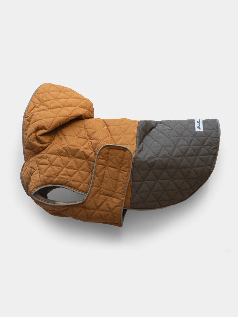 Eddie Bauer Richland Jacket, Brown/Gray