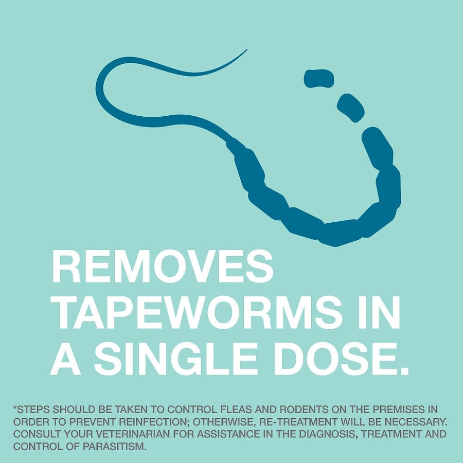 Removes Tapeworms in a Single Dose