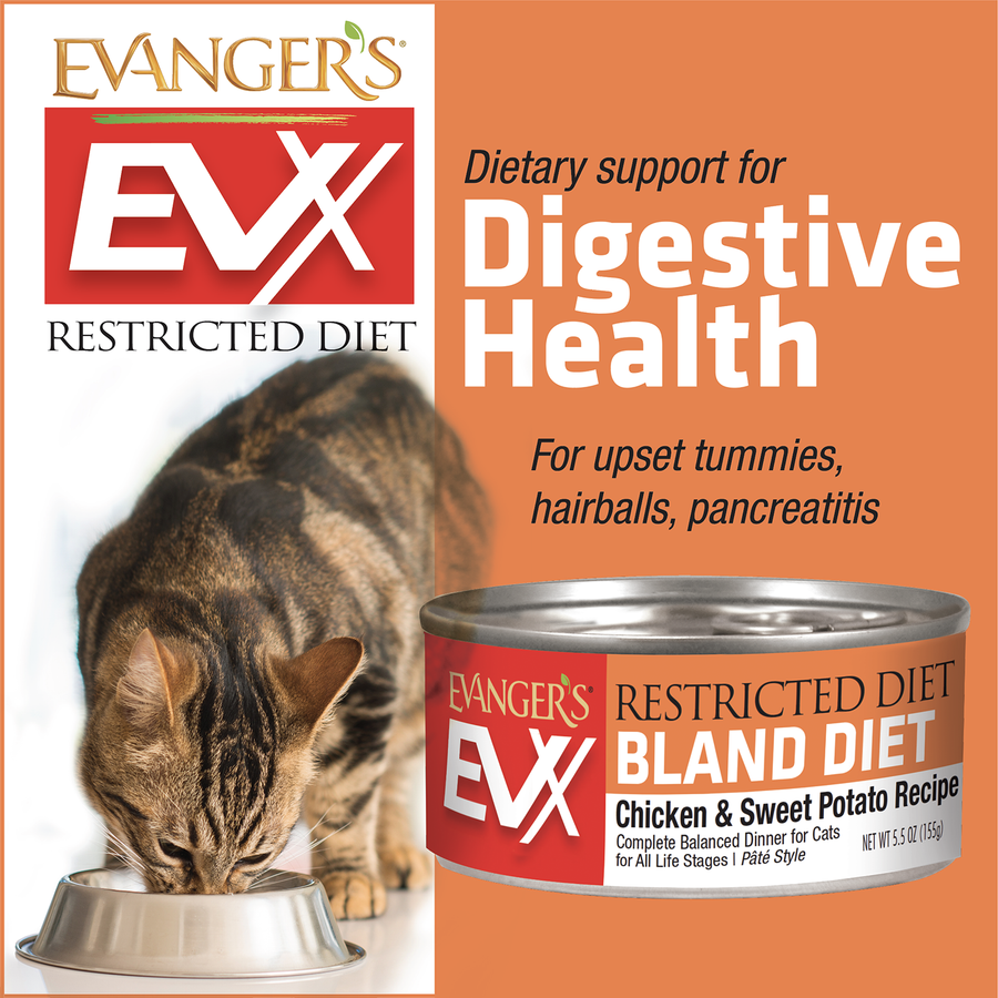 Evanger's Chicken & Sweet Potato Pate Canned Cat Food, dietary support for Digestive Health
