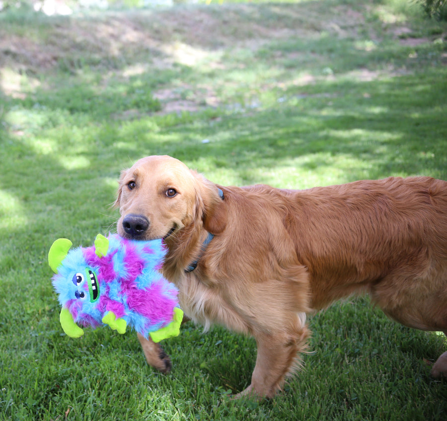 KONG Frizzles Razzle Plush Dog Toy