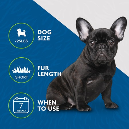 Suggestion on when best to use FURminator Deshedding Short Hair Dog Tool