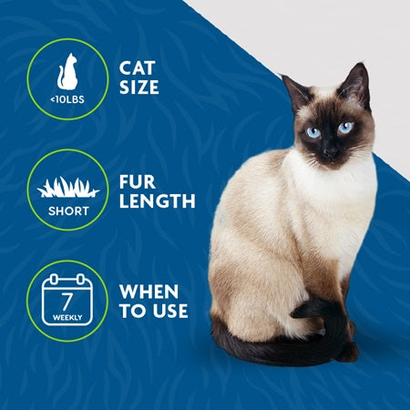 Suggestion Use of FURminator Undercoat Deshedding Short Hair Cat Tool