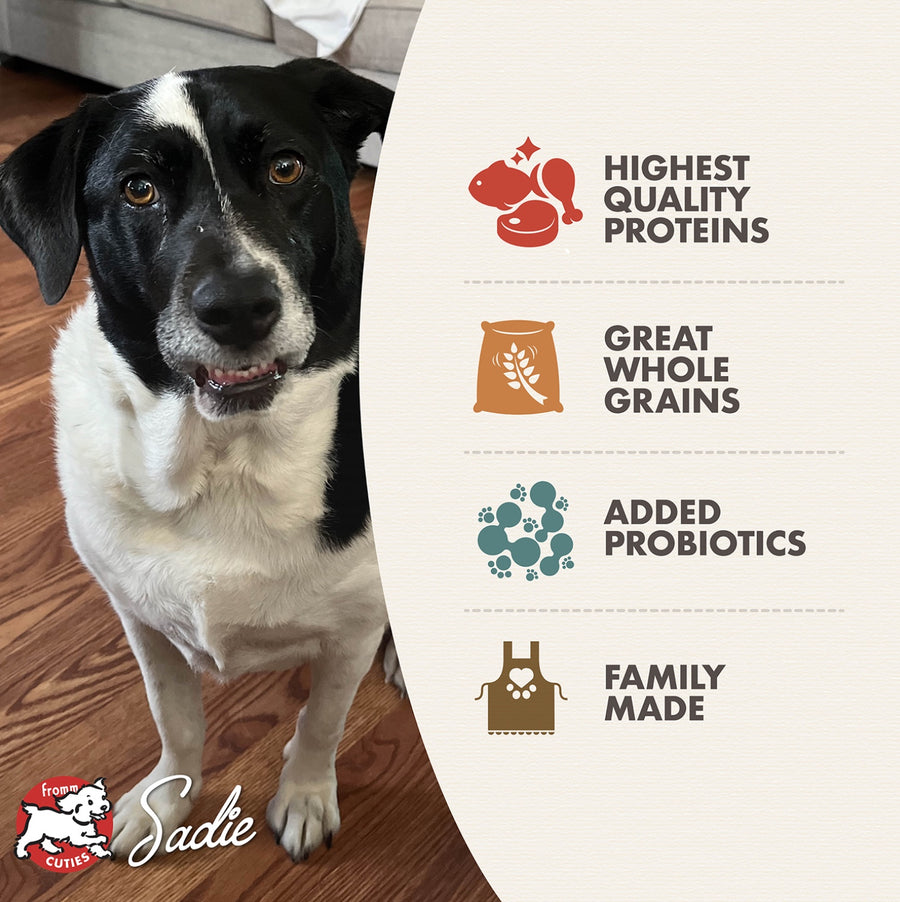 * Highest Quality Proteins
* Great Whole Grains
* Added Probiotics
* Family Made