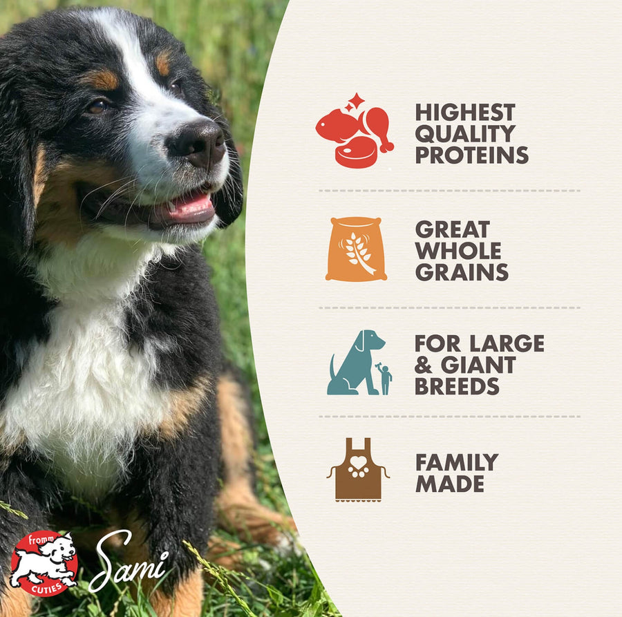 * Highest Quality Proteins
* Great Whole Grains
* For Large & Giant Breeds
* Family Made