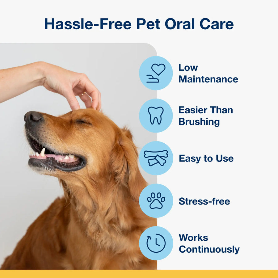 *Low Maintenance
*Easier than Brushing
*Easy to Use
*Stress-free
*Works Continuously