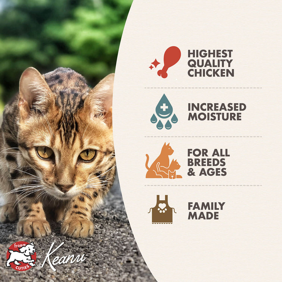 Fromm Four-Star Nutritionals Chicken Pate Canned Cat Food offers the highest quality proteins, it increased moisture, family made for all breeds & ages