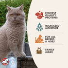 Fromm Four-Star Nutritionals Chicken & Salmon Pate Canned Cat Food offers highest quality proteins, it increased moisture, family made for all breeds & ages
