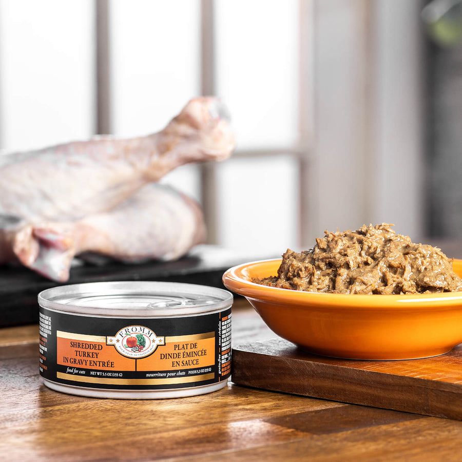 Fromm Four-Star Nutritionals Shredded Turkey in Gravy Entree Canned Cat Food in a can and bowl 