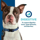 Fromm Nutritionals Digestive Functional Dog Treats Top Benefit