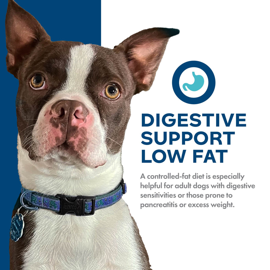 Digestive Support Low fat. 