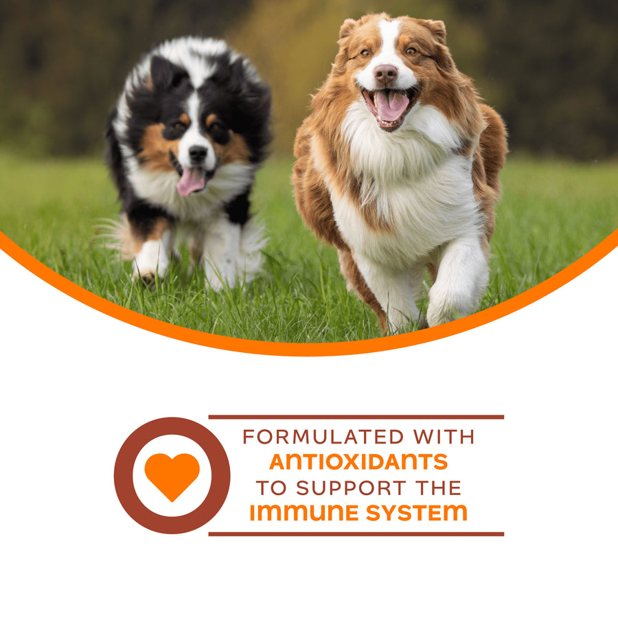 Fromm Nutritionals Dog Treats formulated with antioxidants for immunity