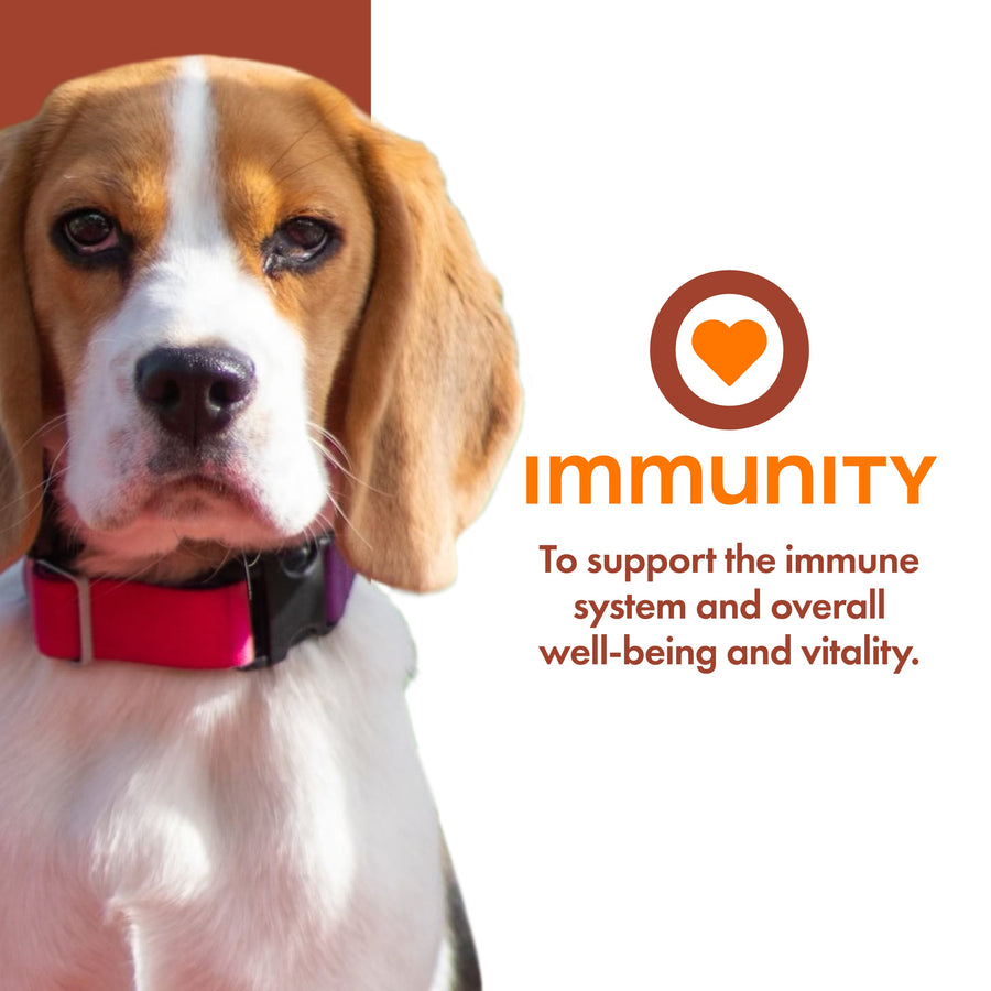 Fromm Nutritionals Immunity Functional Dog Treats Main Benefit 