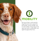 Mobility. 