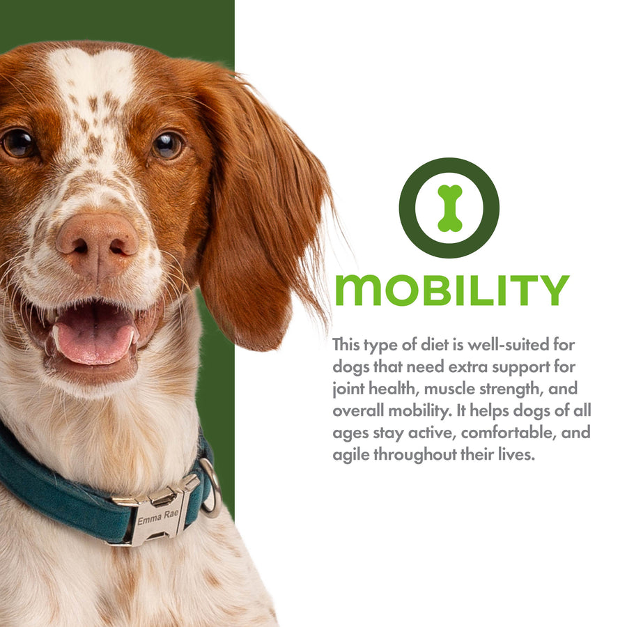 Mobility. 