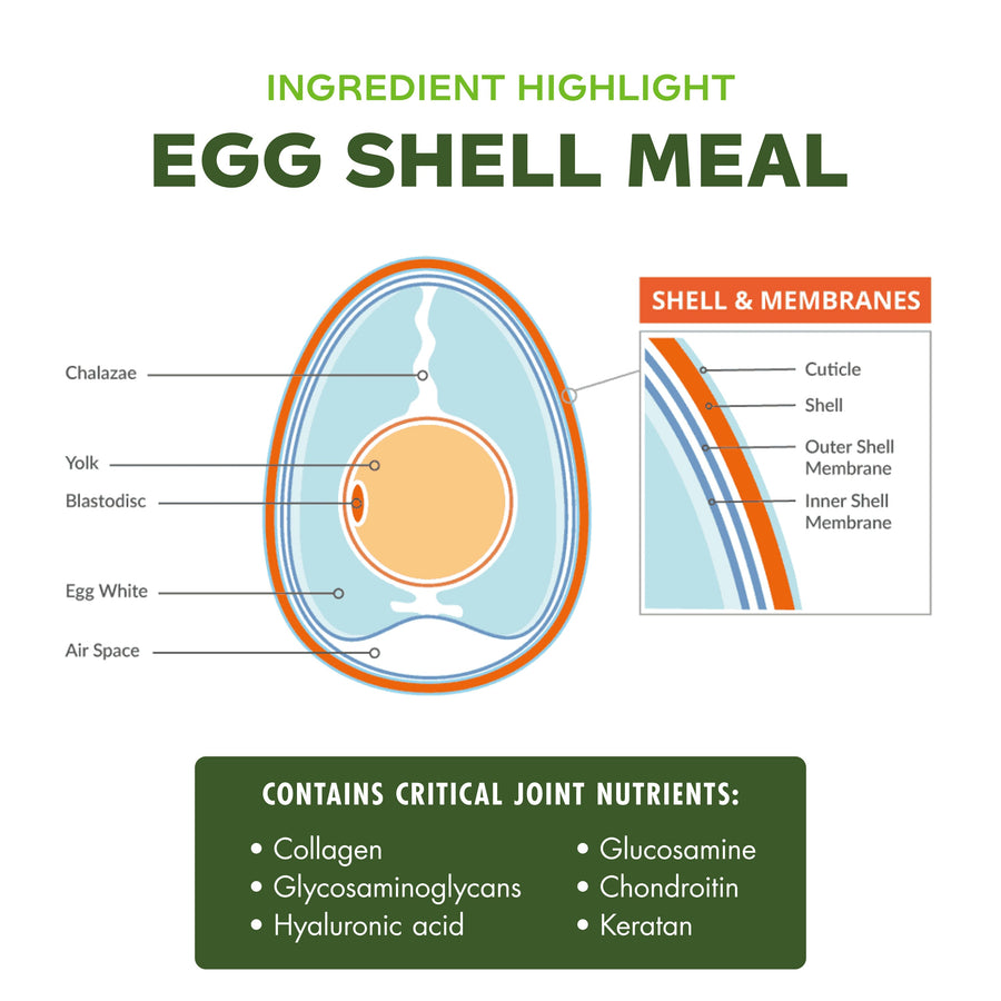 Diagram of an egg shell with labeled parts and information about egg shell meal ingredients.