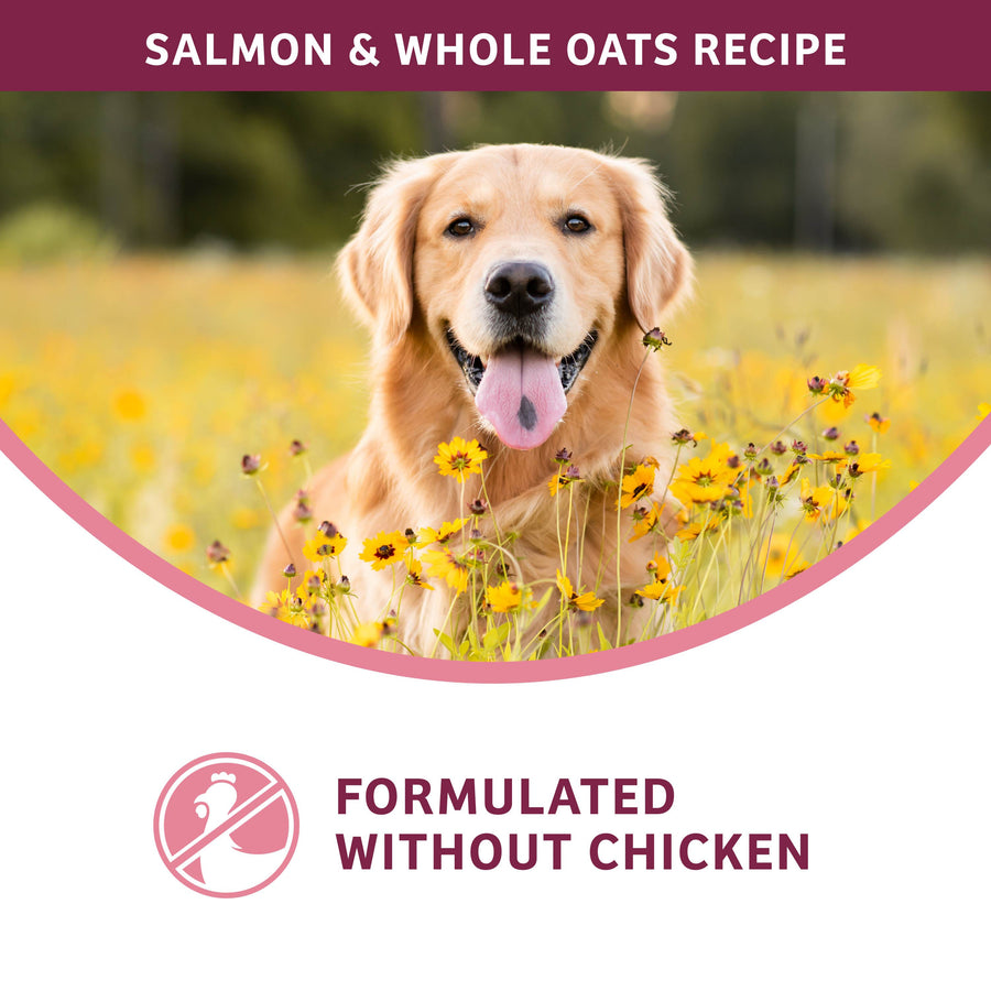 Formulated without Chicken