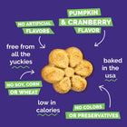 *No Artificial Flavors
*Pumpkin & Cranberry Flavor
*No Soy, Corn or Wheat
*No Colors or Preservatives