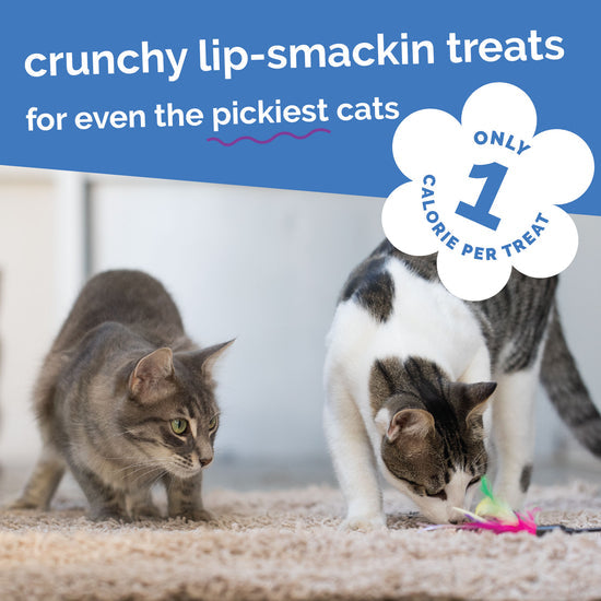 Fruitable Crunchy Chicken & Blueberry Cat Treats