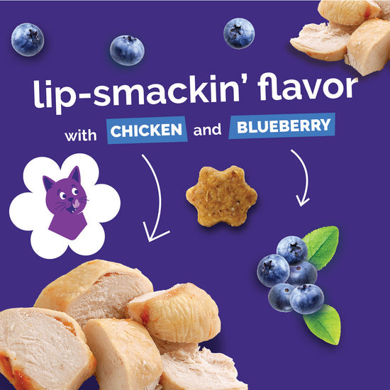 Fruitable Crunchy Chicken & Blueberry Cat Treats