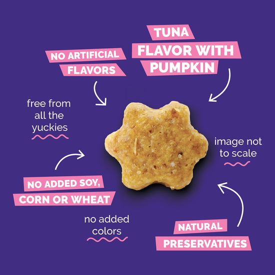 Fruitable Crunchy Tuna & Pumpkin Cat Treats